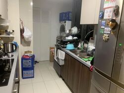 Parc Life (D27), Condominium #617739161